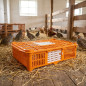 Plastic Transport Cage 67x45x15 cm with Sliding Front Door for Livestock and Agriculture