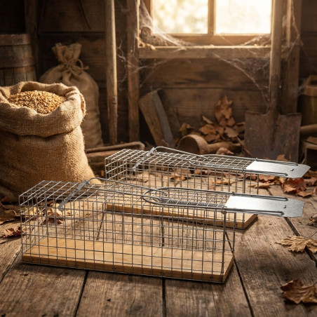 Lot de 2 Piege a Souris Vivante, Piège de Capture, Piege a Rat Cage Réutilisable, 12x6x5 cm