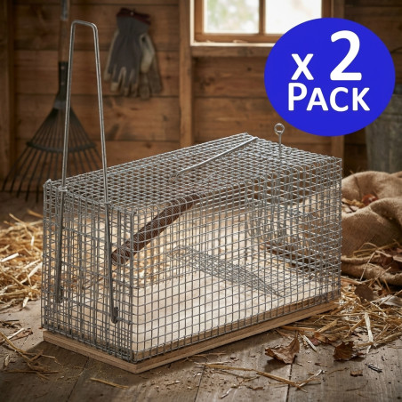 Lot de 2 Piege a Souris Vivante, Piège de Capture, Piege a Rat Cage Réutilisable, 29x14x12 cm