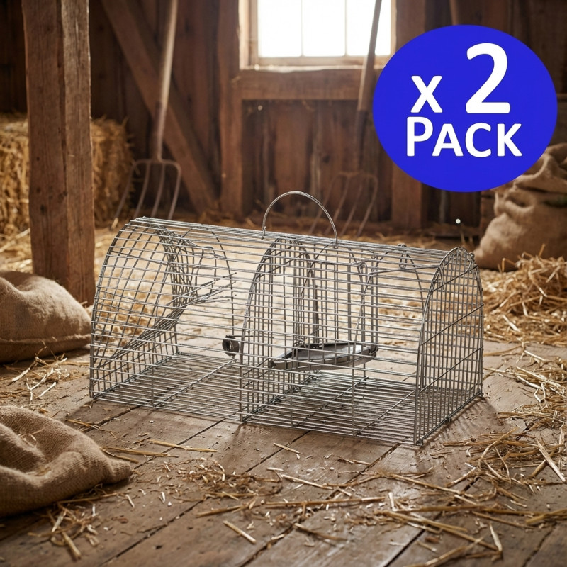 Piège à guêpes 2 pcs piege frelon asiatique amovible et réutilisable p