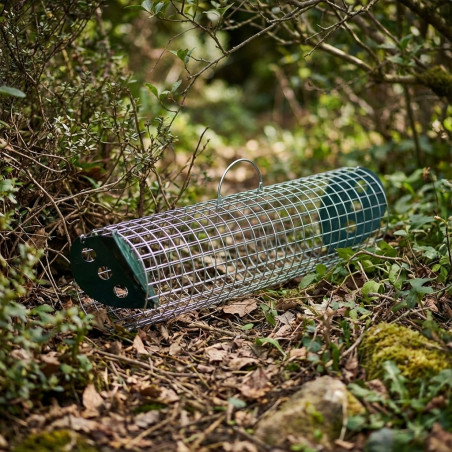 Piège Vivant Réutilisable 60x15 cm Piège à cage galvanisé pour animaux chats, rongeurs et lapins