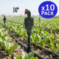 Aspersor de Riego Agricola Circular 1/2'' | Pack 10 Aspersores de Angulo 10º con Alcance 8 a 10 m | Riego por Aspersion