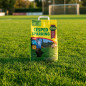Sparring Grass Seed | Multipurpose Grass Seed 5 Kg | Strong and Attractive Grass Seed | Fast Growing and Resistant