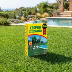 Feine Gräser-Rasensamen, ultra resistent, ideal für das mediterrane Klima 5 kg