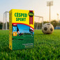 Semilla Cesped Deportivo | Semillas Césped Jardines y Campo Futbol 1 Kg | Semilla Fito Cesped Rustico y Resistente
