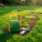 Semilla Cesped Repoblador | Semillas Césped Rapido Crecimiento 5 Kg | Semilla Fito Cesped Express | Sol y Sombra