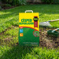Semilla Cesped Repoblador | Semillas Césped Rapido Crecimiento 5 Kg | Semilla Fito Cesped Express | Sol y Sombra
