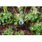 Hunter Rotator MP800 Düse 90º-210º, Düse für Bewässerungssprinkler