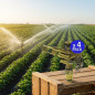 Aspersor de irrigação agrícola ajustável em latão 3/4'' | Pacote com 4 aspersores com alcance de 12 a 19 m | Aspersor setorial p Aspersor de irrigação agrícola ajustável em latão 3/4'' | Pacote com 4 aspersores com alcance de 12 a 19 m | Aspersor setorial p