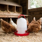 Bebedero 8 litros para Gallinas 31x30 cm | Bebedero Aves de Corral | Bebederos Granja Pollos| Bebedero para Animales