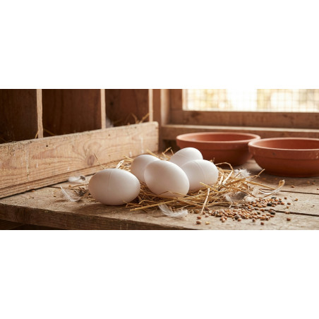 Künstliche Eier | 16er-Packung Plastikeier für Hühner | Agricola Poultry | Imitierte Eier, die Hühnern beim Eierlegen helfen