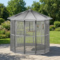 Volière galvanisée à 12 côtés 232x255 cm | Grande cage à oiseaux | Volière pour perroquets, canaris, calopsittes, aras et autr