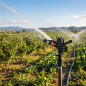 25 Stück Sektorregner Landwirtschaft 3/4'', Reichweite 13 bis 18 m, Suinga