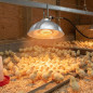 1.45 kW Infrared Radiator Heater | Professional Efficient Heat for Incubator and Chick Breeding