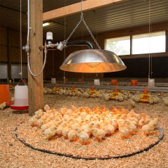 Infrarot-Heizstrahler 0,55 bis 4,8 kW | Professionelle, effiziente Wärme für Brutkästen und Kükenaufzucht