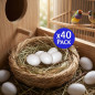 Huevos Falsos | Pack 40 Huevos de plastico Pajaros | Ideal para criar y alojar aves | Huevos simulados que ayudan a poner huevos