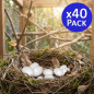 Fake Eggs | Pack of 40 Plastic Bird Eggs | Ideal for Breeding and Housing Birds | Simulated Eggs to Help Egg Laying Fake Eggs | Pack of 40 Plastic Bird Eggs | Ideal for Breeding and Housing Birds | Simulated Eggs to Help Egg Laying