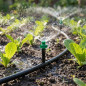 180º irrigation micro-sprinkler.