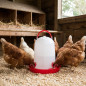 3-Liter Chicken Waterer 23x22 cm | Pack of 5 Poultry Waterers | Farm Waterers | Animal Waterers 3-Liter Chicken Waterer 23x22 cm | Pack of 5 Poultry Waterers | Farm Waterers | Animal Waterers