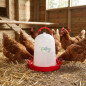 Bebedero 5 litros para Gallinas | Bebedero Aves de Corral | Bebederos para Granja | Bebedero para Animales