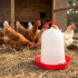 Bebedero 5 litros para Gallinas | Bebedero Aves de Corral | Bebederos para Granja | Bebedero para Animales