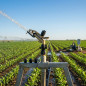 Canon d'irrigation Dallas | Arroseur agricole réglable | Arroseurs femelles 1 1/4" | Canons d'irrigation de 16 à 26 m Canon d'irrigation Dallas | Arroseur agricole réglable | Arroseurs femelles 1 1/4" | Canons d'irrigation de 16 à 26 m