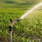 Canon d'irrigation Dallas | Arroseur agricole réglable | Arroseurs femelles 1 1/4" | Canons d'irrigation de 16 à 26 m Canon d'irrigation Dallas | Arroseur agricole réglable | Arroseurs femelles 1 1/4" | Canons d'irrigation de 16 à 26 m