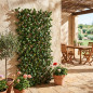 Siepe Artificiale con rete in Legno di Alloro naturale, Estensibile 1 x 2 metri