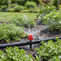 Pacote com 50 microaspersores de irrigação 360° | Alcance de 1 a 1,5 metros para irrigação agrícola e de jardim Pacote com 50 microaspersores de irrigação 360° | Alcance de 1 a 1,5 metros para irrigação agrícola e de jardim