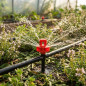 Pacote com 50 microaspersores de irrigação 360° | Alcance de 1 a 1,5 metros para irrigação agrícola e de jardim Pacote com 50 microaspersores de irrigação 360° | Alcance de 1 a 1,5 metros para irrigação agrícola e de jardim