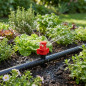 Lot de 50 Arroseur d'irrigation 360º - Buses de pulvérisation à 360º pour hydroponique, réfraction, mini arroseur d'eau 1 à 1,5