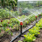 Lot de 50 Arroseur d'irrigation 360º - Buses de pulvérisation à 360º pour hydroponique, réfraction, mini arroseur d'eau 1 à 1,5