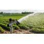 Landwirtschaftlicher Sprinkler 1 1/4'' Dallas aus Metall. Bewässerungswinkel 360º, kreisförmig. Reichweite 16 bis 26 m. Impuls-S Landwirtschaftlicher Sprinkler 1 1/4'' Dallas aus Metall. Bewässerungswinkel 360º, kreisförmig. Reichweite 16 bis 26 m. Impuls-S