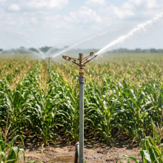 Irrigatore Agricolo 1 1/4'' Brittany in metallo. Angolo di Irrigazione 360º Circolare. Portata 27 a 36 m. Irrigatore a Impulsi