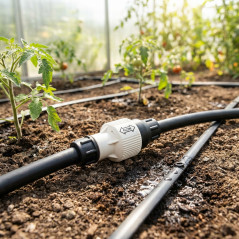 Regolatore di Pressione dell'acqua 3/4''. Pressione di uscita 1,4 bar