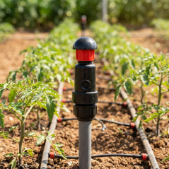 1'' Single-Action Air Vent – Air Removal for Irrigation Networks