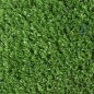 Tapis de gazon artificiel 10 mm pour jardins, parcs et patios