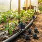 Lot de 500 goutteurs de 8 litres, sans vidange, auto-compensateurs et non amovibles | Irrigateurs goutteurs pour l'irrigation ag