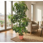 Künstliche Cheflera 145 cm mit Topf | Plastikpflanzen zur Gartendekoration für Innen- und Außenbereiche