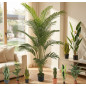 Planta Artificial Palmera 180cm con Macetero | Plantas de Plástico para Decoración de Jardín Interior y Exterior