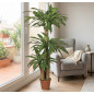 Planta Artificial Dracena 145cm con Macetero | Plantas de Plástico para Decoración de Jardín Interior y Exterior