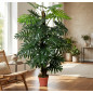 Plante Artificielle Philodendron 150cm avec pot | Plantes en plastique pour la décoration de jardin intérieur et extérieur