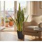 Künstliche Buntblättrige Sansevieria 105 cm mit Topf	Plastikpflanzen zur Gartendekoration für Innen- und Außenbereiche