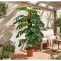 Pianta Artificiale Monstera 135cm con vaso | Piante di plastica per la decorazione di giardini interni ed esterni