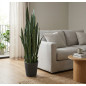 Planta Artificial Lengua de Tigre 105cm con Macetero | Plantas de Plástico para Decoración de Jardín Interior y Exterior