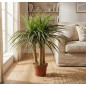 Planta Nolina Artificial 75 cm com Vaso | Plantas de Plástico para Decoração de Jardins Internos e Externos