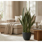 Planta Sansevieria Artificial 70cm com Vaso | Plantas de Plástico para Decoração de Jardins Internos e Externos