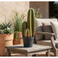 Plante Artificielle Captus Organo 64cm avec pot | Plantes en plastique pour la décoration de jardin intérieur et extérieur