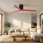 Ventilateur de plafond de 132 cm | Télécommande | Silencieux | 3 pales en bois naturel | Hauteur 23,2 cm | Mode hiver-été