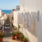 Stendibiancheria estensibile da parete | Stendibiancheria da balcone 80 cm bianco | Stendibiancheria estensibile | Stendibianche